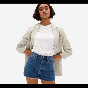 Everlane Cheeky Short, Size 31